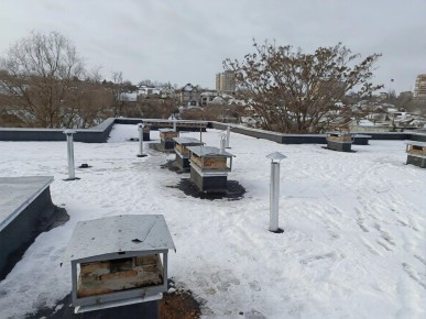 ���� �� ������������ ��������������� ������ ���������������� ������ � ����������