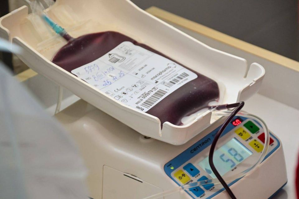 ������ ����� ����������� ������� ������������� ���� ������ � 2025 ����