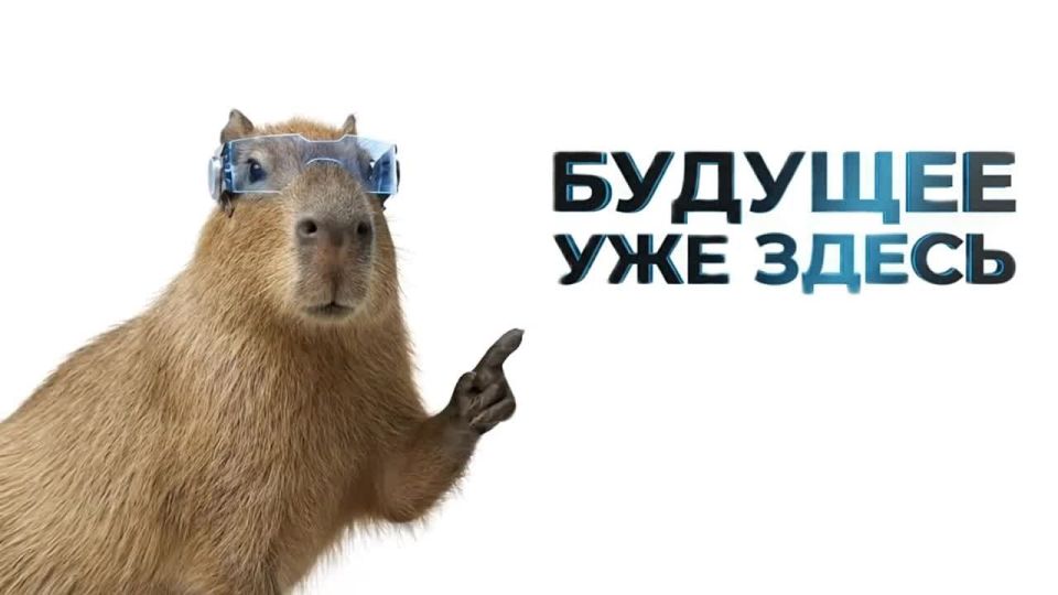 Проект для тех, кто идёт в ногу со временем: Школа Нейросетей стартует в Мелитополе!