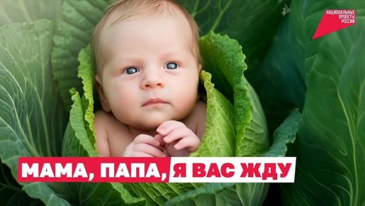 Когда семья растёт — растёт и счастье