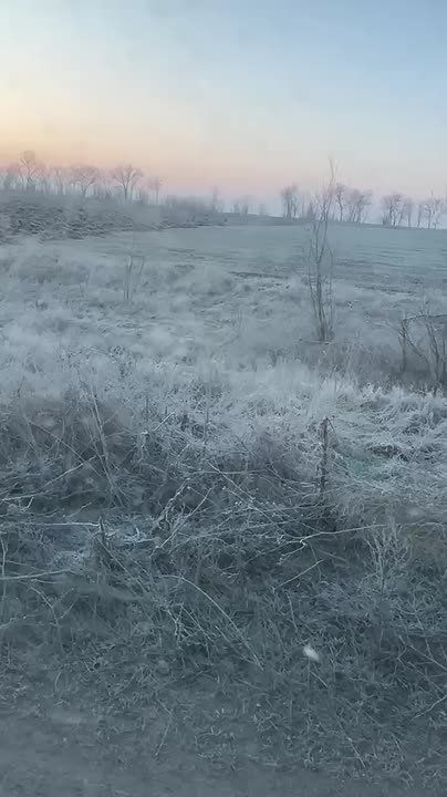 ������ �������� ������ ����������