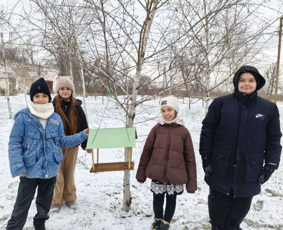 Птичья столовая на открытом воздухе! Птичья столовая на открытом воздухе!