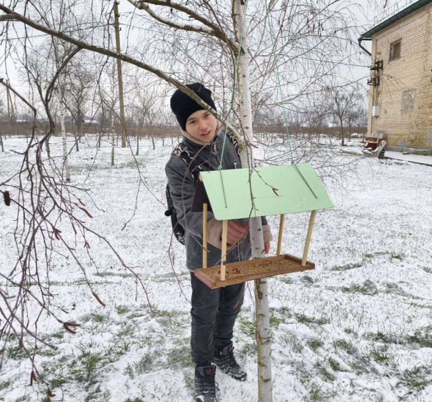 Птичья столовая на открытом воздухе! Птичья столовая на открытом воздухе!