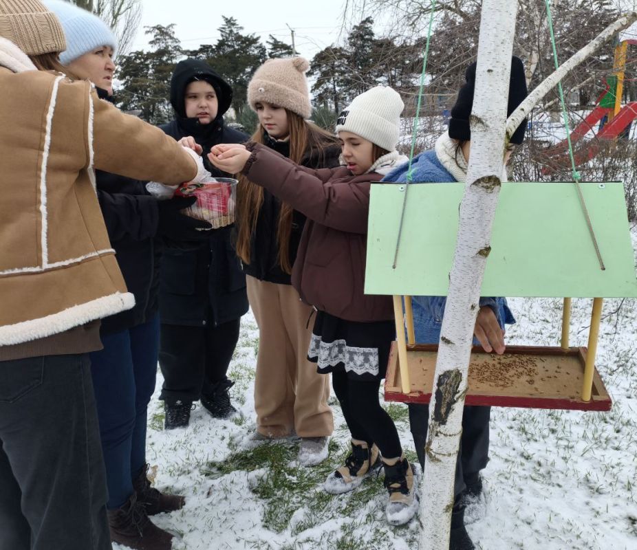 Птичья столовая на открытом воздухе! Птичья столовая на открытом воздухе!