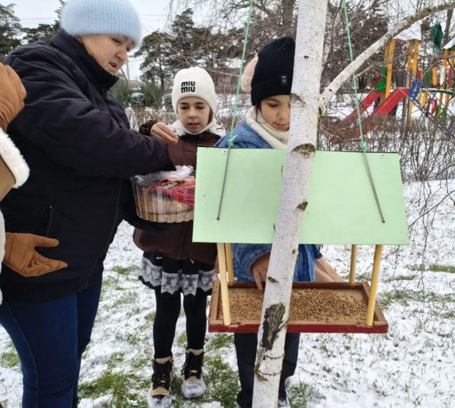 Птичья столовая на открытом воздухе! Птичья столовая на открытом воздухе!