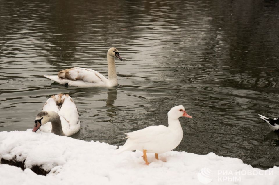 Погода на новых территориях России