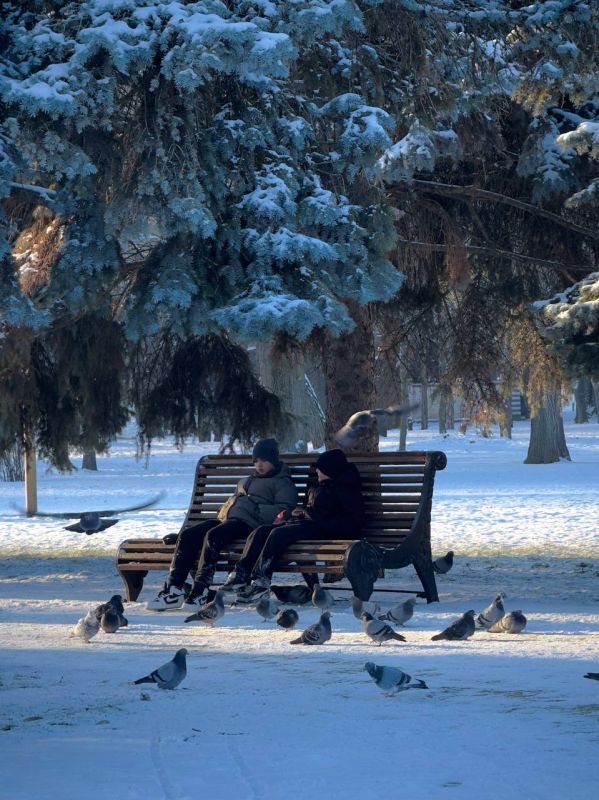 ����� �������� � ���������� ����