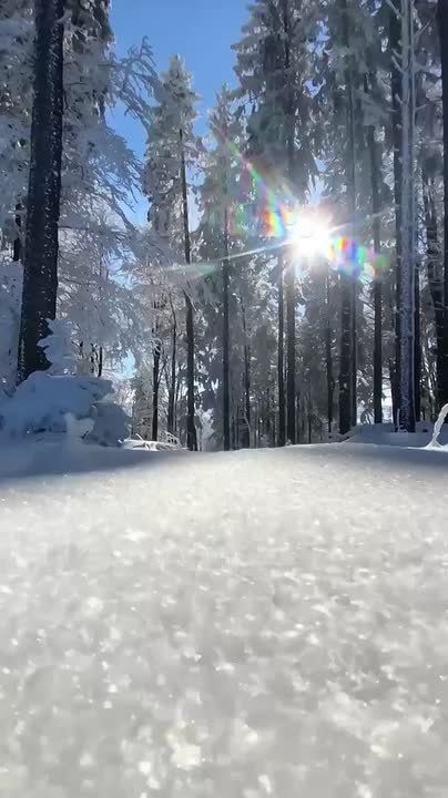 ������� ����, ������� ������������!!!