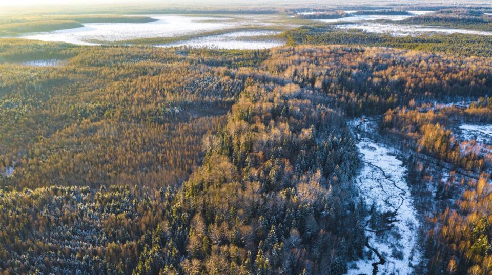 � ����������� ������� ������ ������������ ���� �������� ���