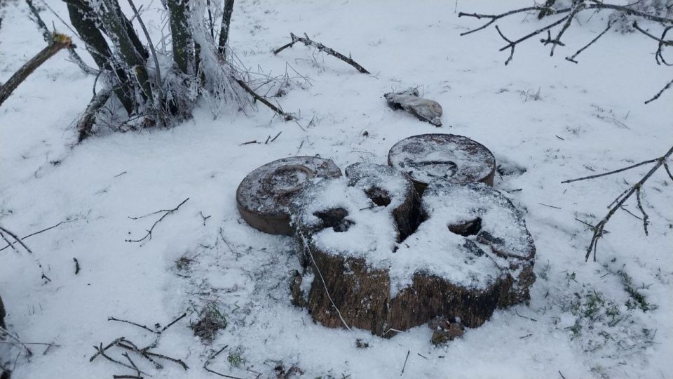 � �������������� ������ ������������ ������� ����������� ������� ���� �������� ����������