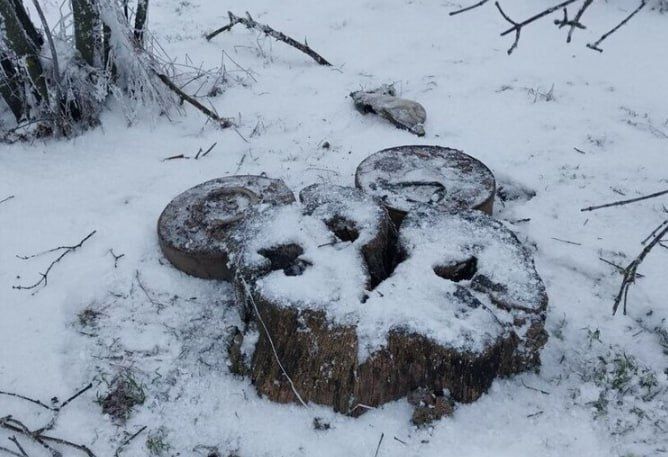 � �������������� ������ ���������� ����� � ������������