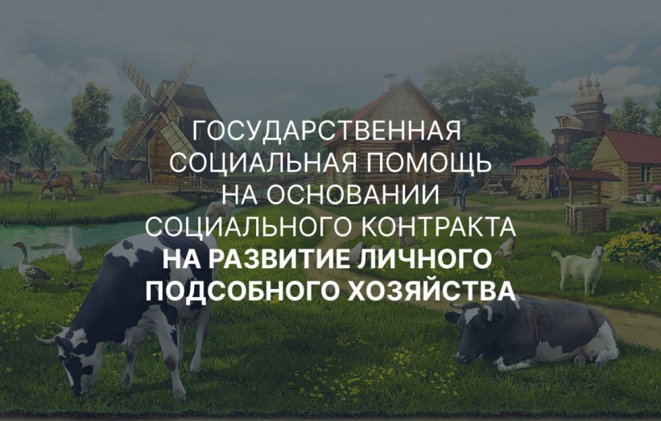 В Запорожской области действует Указ Губернатора Запорожской области от 11.02.2025 № 64-у «О внесении изменения в указ Губернатора Запорожской области от 13.11.2023 № 91-у «Об оказании государственной социальной помощи на...