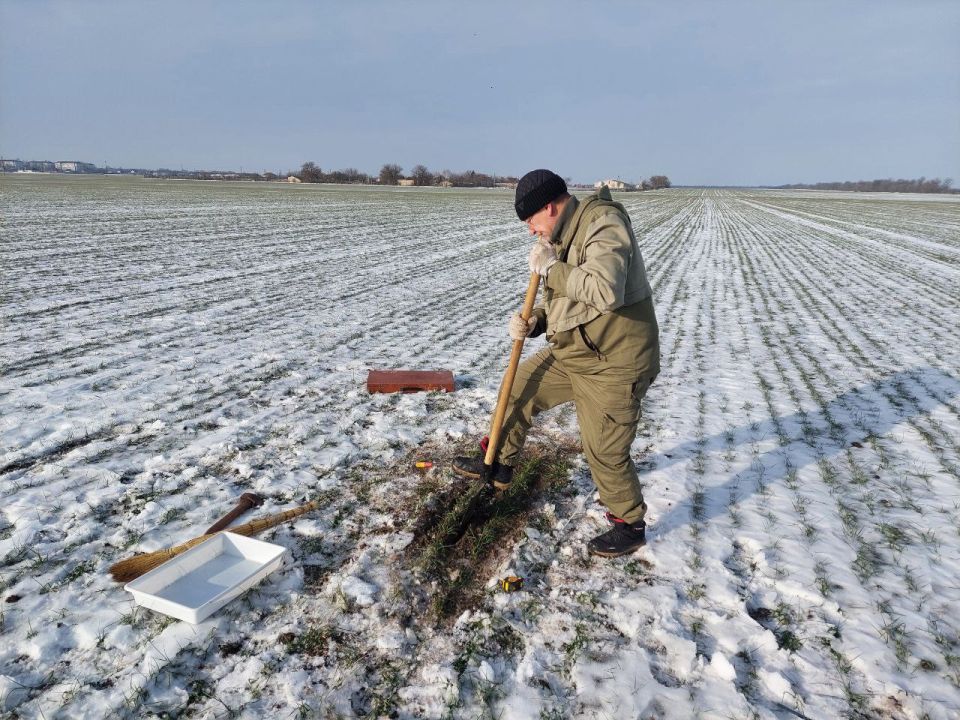 ��� ��������� ���� ������ ���� �����?