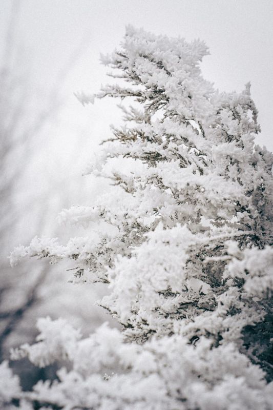 ���������� ������� �������� � ��� � ��������!