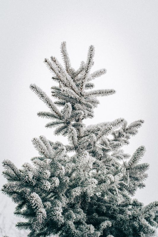 ���������� ������� �������� � ��� � ��������!