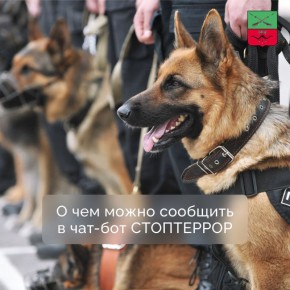 ���� ���������� ��� ����������� ��������������� ��������