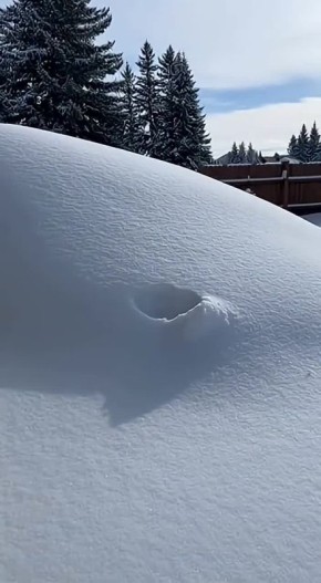 ������ ����!. ������� � �����������, 2 �������