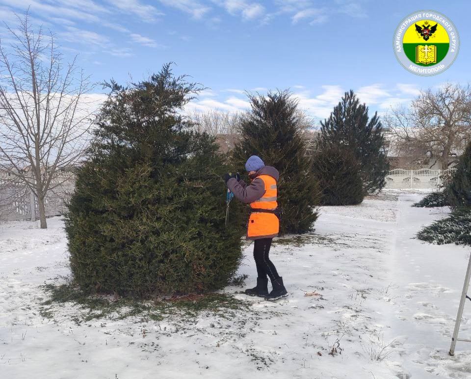 � ������ ����� ������� � ������� ������ ���������� � �����������