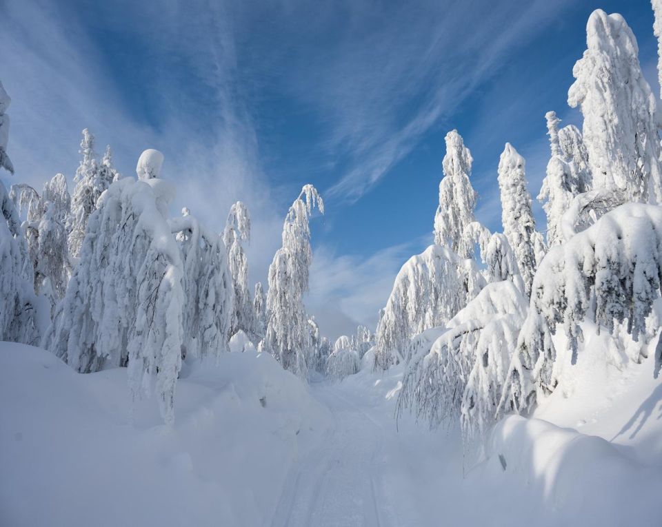 ������ ����!. ������� � �����, 4 �������