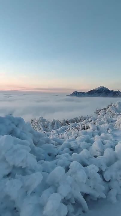 Доброе утро!. Сегодня — четверг, 5 февраля