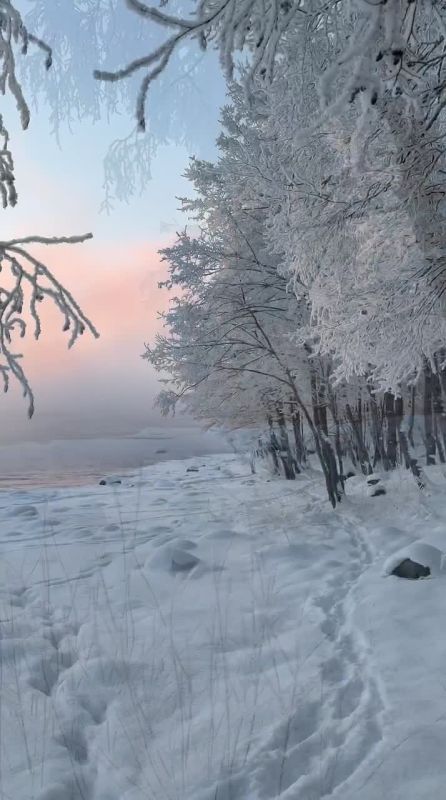 Доброе утро!. Сегодня — четверг, 12 февраля