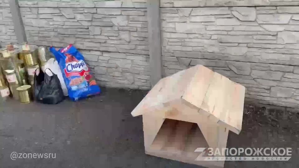 В Мелитополе активисты передали около 100 кг корма в приют для животных