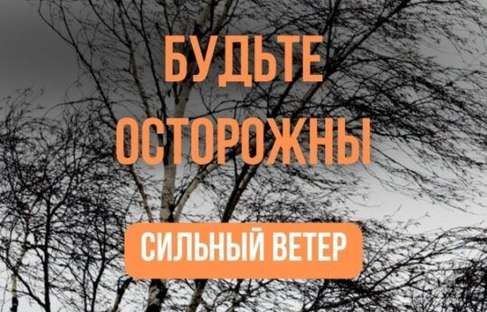Внимание: ожидается ветер!
