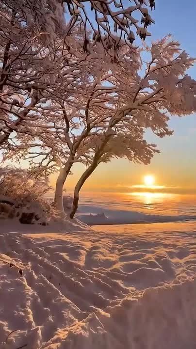 Доброе утро!. Сегодня — понедельник, 16 февраля