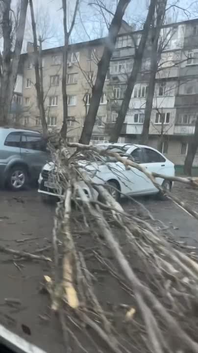 � ���������� ������� �������� ������