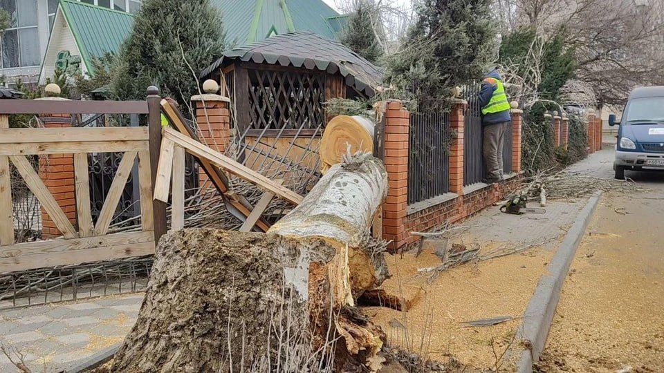 ������� ������ �� ������ � ������: � ���������� ����������� ����������� ��������