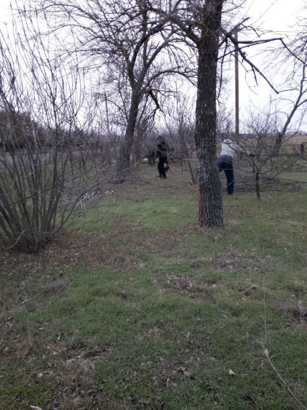 ���������� ��� ���������� ������� ������ ����������� ���������� �������� � ���� ����������