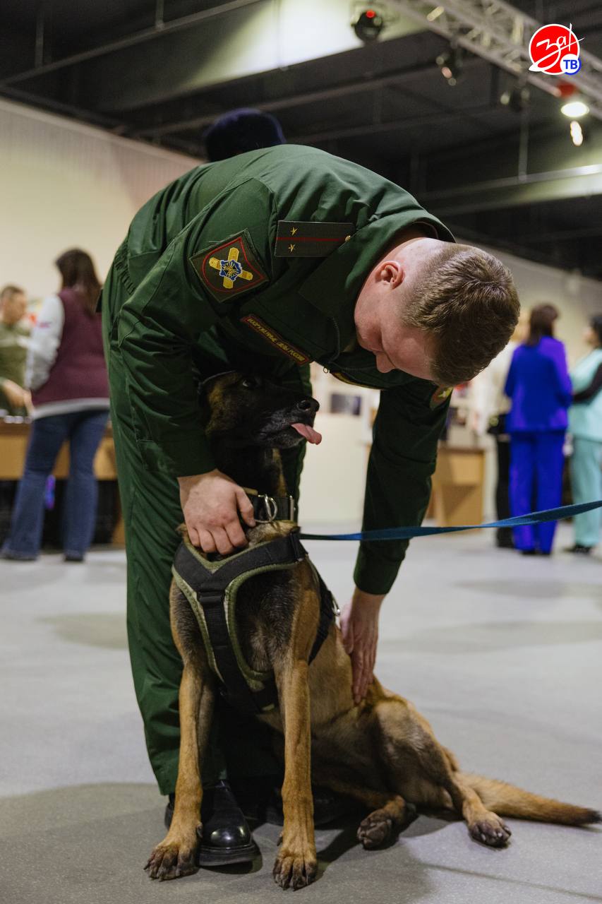 В Мелитополе стартовал фестиваль «Россия — моя история. Мужество», объединивший школьников, кадетов и участников молодёжных организаций В Мелитополе стартовал фестиваль «Россия — моя история. Мужество», объединивший школьников, кадетов и участников молодёжных организаций