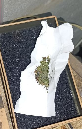 В Мелитополе полицейские пресекли незаконное хранение наркотических средств