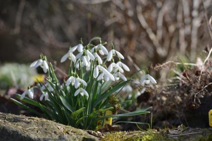 ������ ����!. �����, 25 ������� � � ������� ��� ����� ��� ������ �������� �����! �� ���� � ������ �����������, ������� ����������� ������ ��� �������� �����