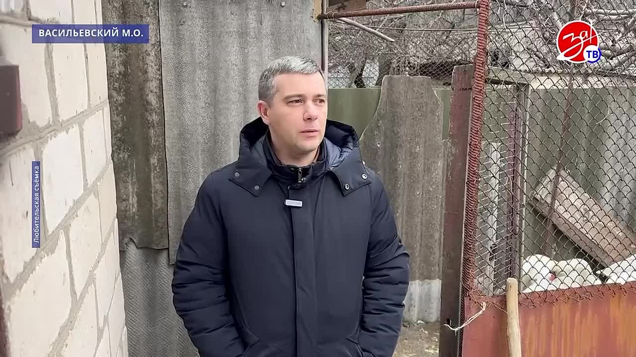 Новый дом для пострадавших от агрессии Украины лебедей