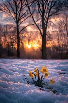 Доброе утро!. Суббота, 28 февраля