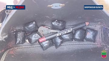 Деятельность сбытчика синтетических наркотиков пресечена в Мелитополе