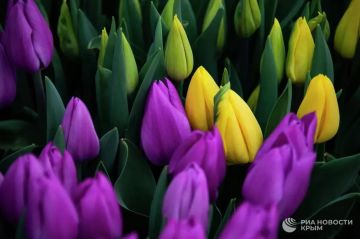 ������ �� ����� ����������� ������