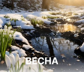 ����� ��� - �����. �����! ������� �� ���������� ��������� �� ������ ����