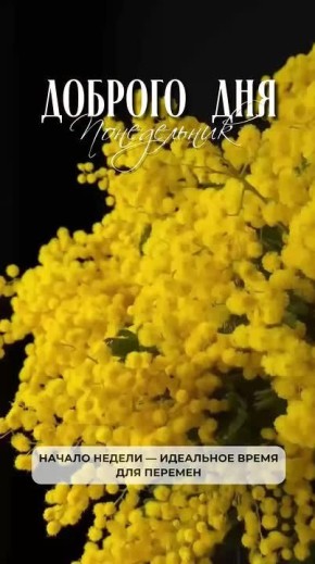 ������� ����, ������� ������������!!!