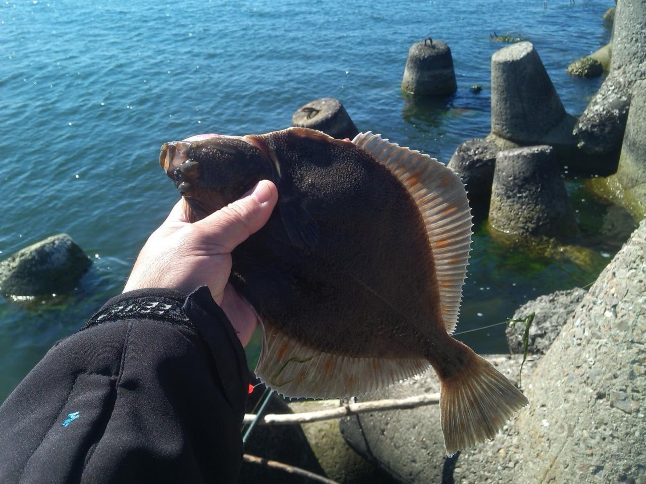 Суд назначил штраф за нарушение правил рыболовства