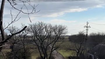 Доброе утро из Новгородковки!