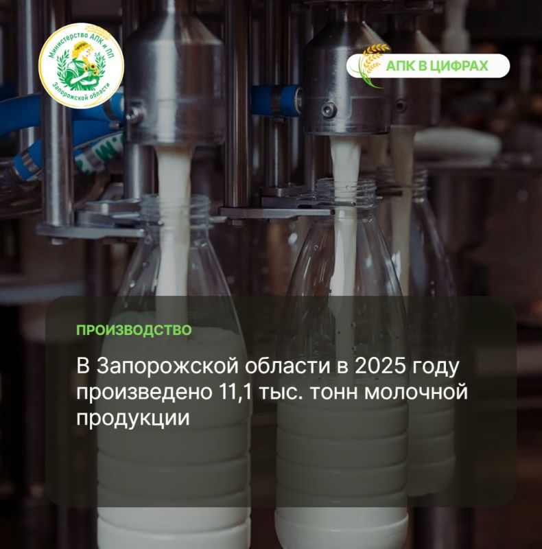 � 2025 ���� � ����������� ������� ����������� 11,1 ���