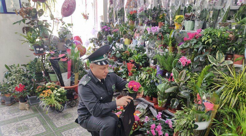 � ����������� ������� ���������������� ������ ��������� ��� ������� ������ � 8 �����