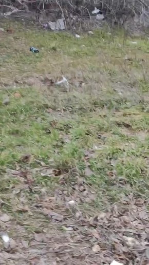 Жители Мелитополя пожаловались на работу коммунальных служб