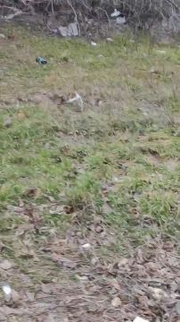 ������ ���������� ������������ �� ������ ������������ �����