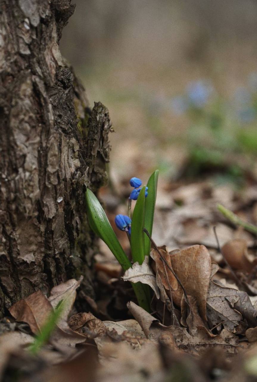 Доброе утро!. Сегодня вторник, 10 марта
