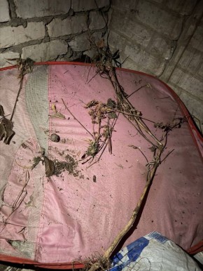 � ���������� ����������� ������ � �������� ������ ����� 50 ������� ���������