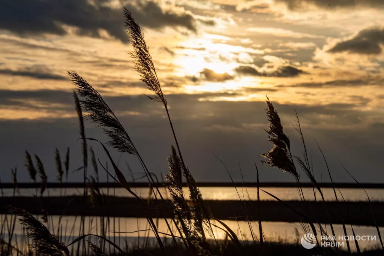 Погода на новых территориях России