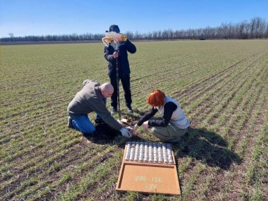 В Запорожской области провели первые весенние обследования почв